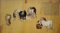 Lang glänzt acht Pferde alte China Tinte Giuseppe Castiglione